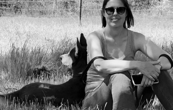 FEARFUL/FERAL DOG
