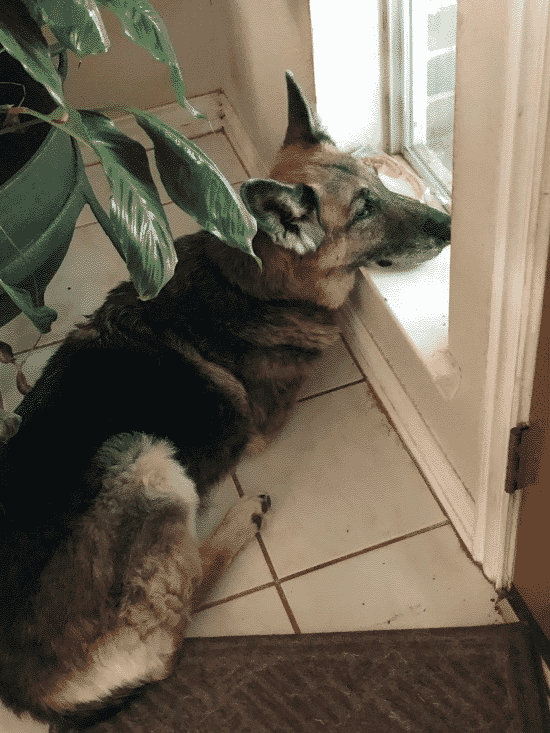 MIA